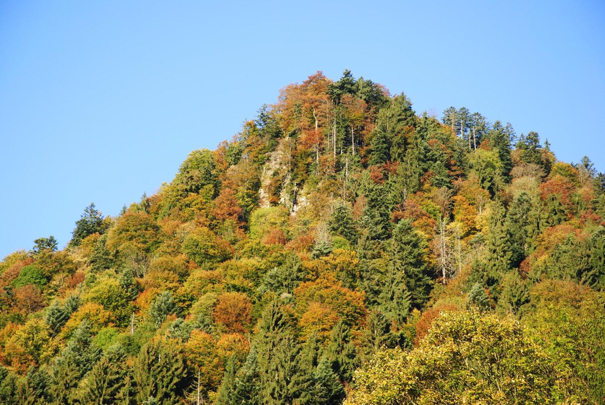 Gästehaus Schröder Ruhpolding Exterior foto